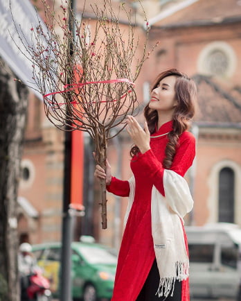 chup hinh tet nha tho duc ba