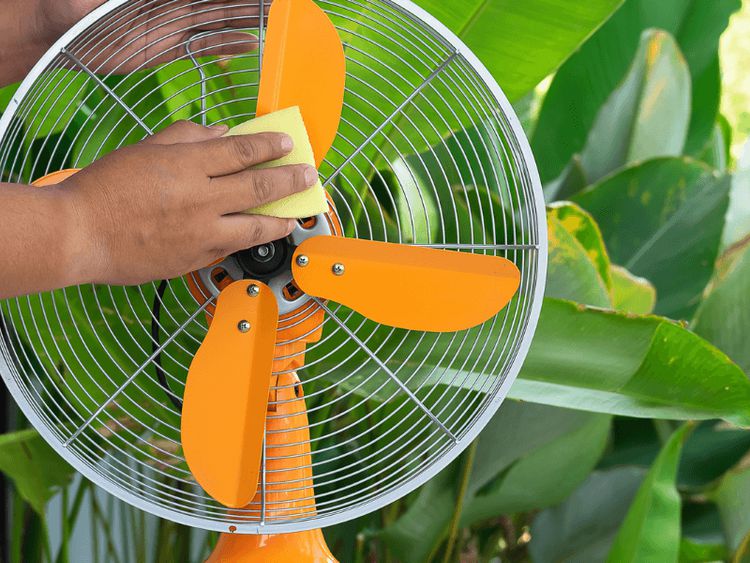 6 bước vệ sinh quạt điện