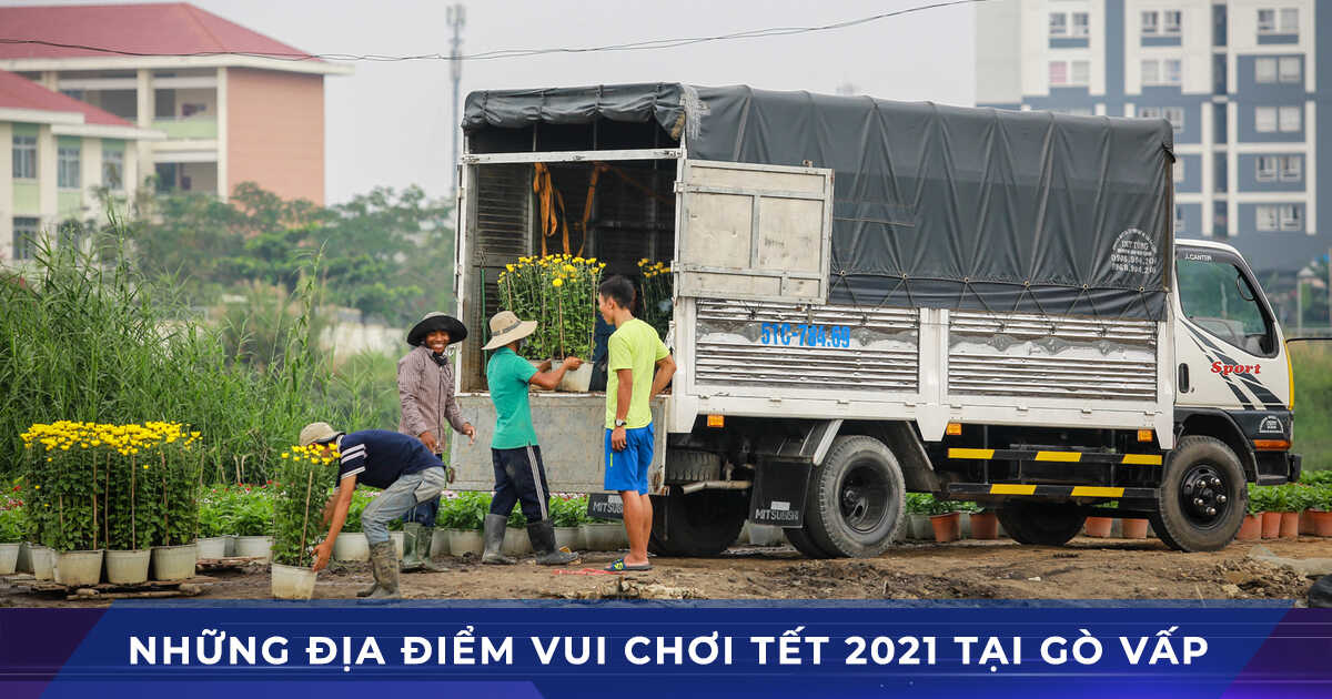 di choi tet 2021 tan suu tai go vap